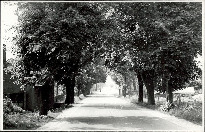 Ewidencja parkowa, skan nr 3