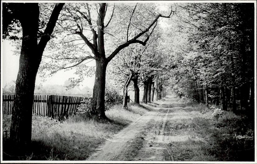 Ewidencja parkowa, skan nr 4