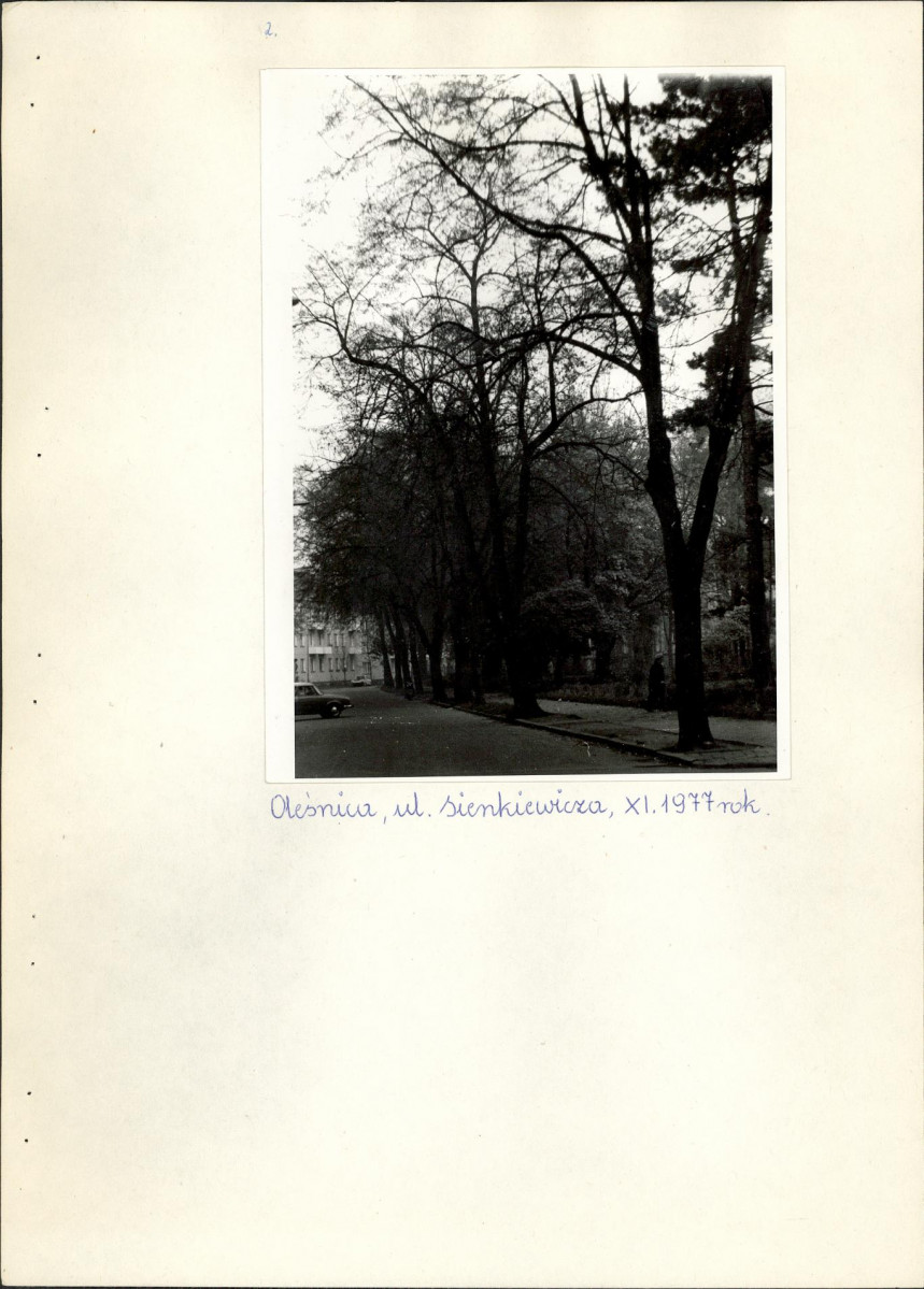 Ewidencja parkowa, skan nr 3