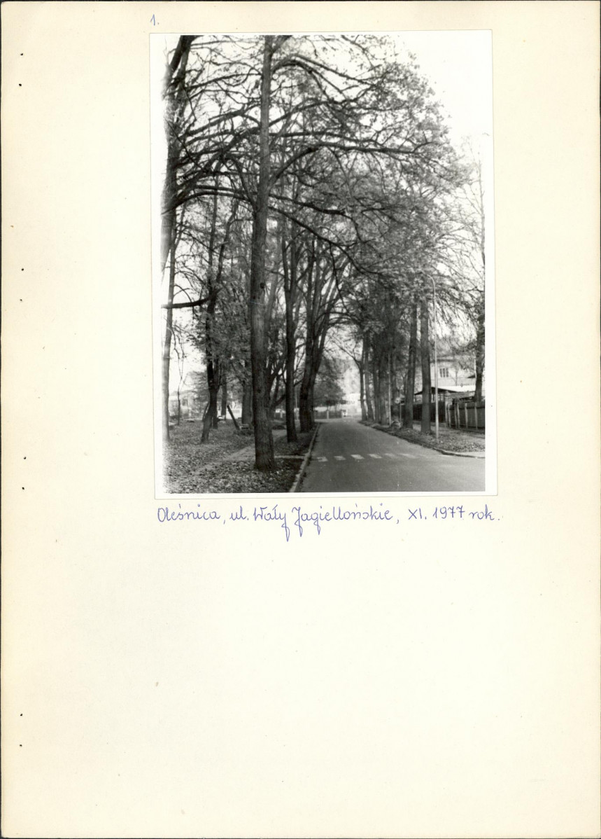 Ewidencja parkowa, skan nr 5