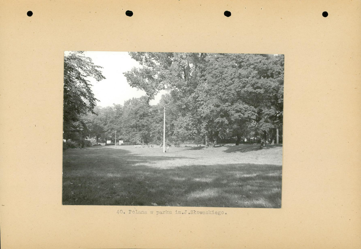 Ewidencja parkowa, skan nr 61