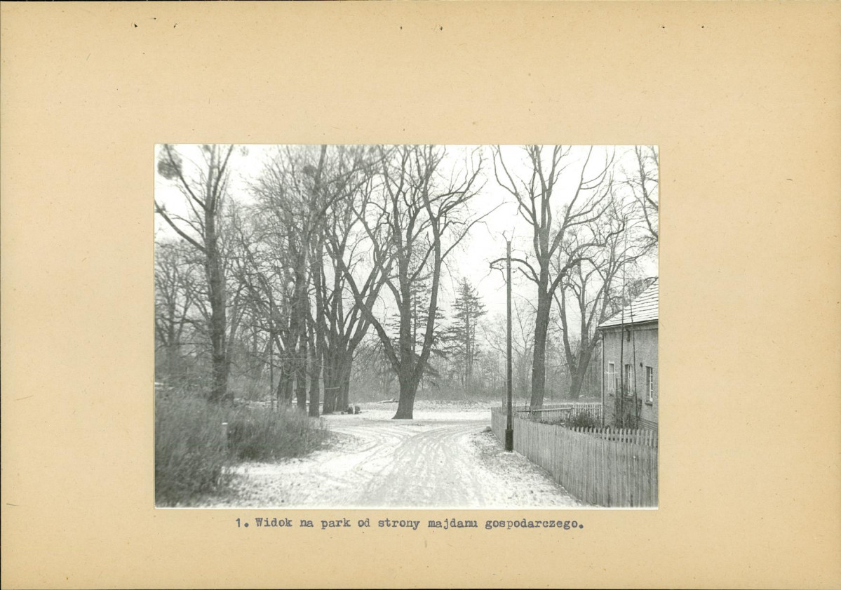 Ewidencja parkowa, skan nr 13