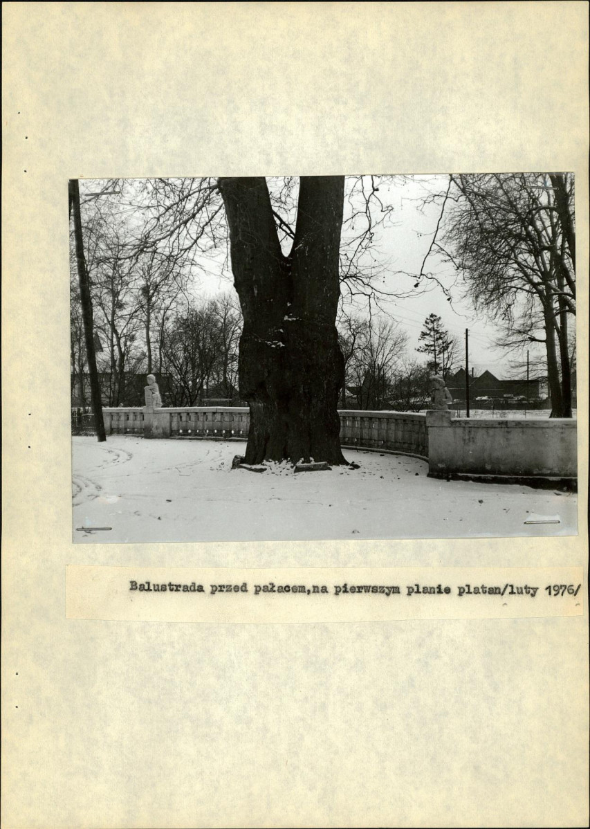 Ewidencja parkowa, skan nr 11