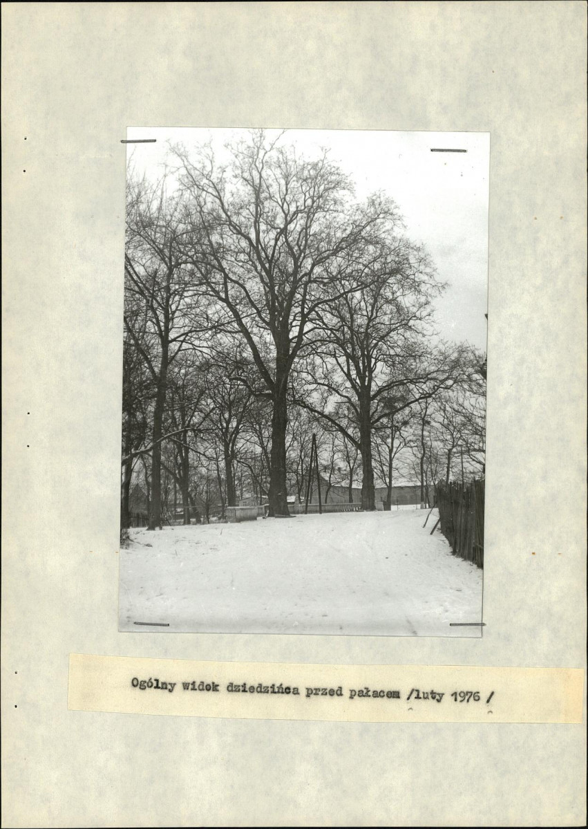 Ewidencja parkowa, skan nr 13