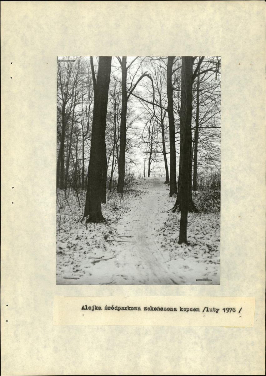 Ewidencja parkowa, skan nr 16