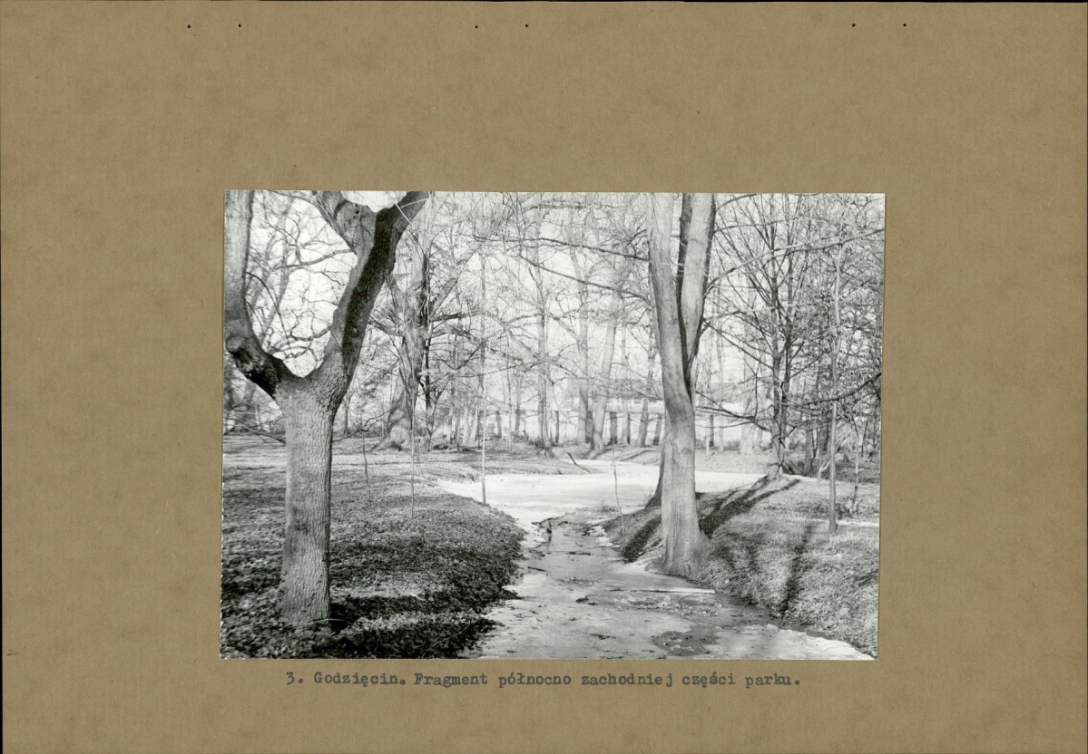Ewidencja parkowa, skan nr 17