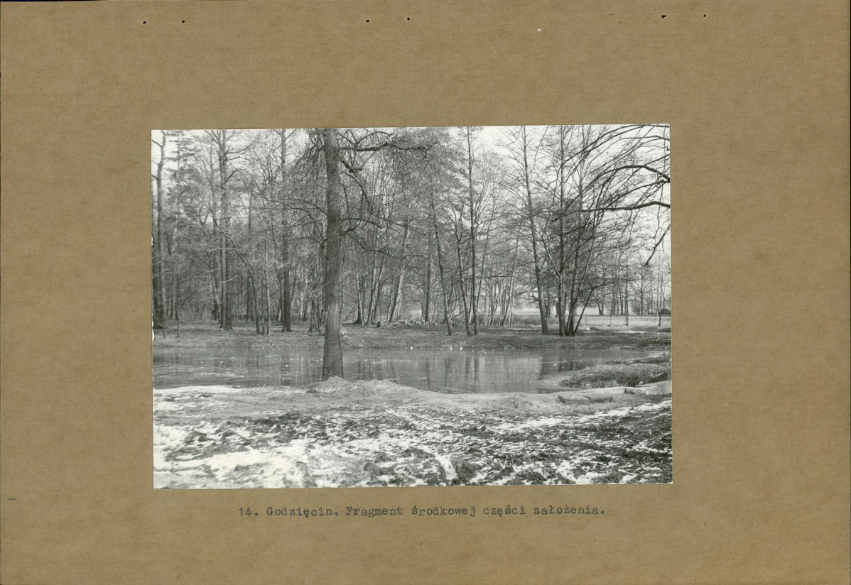 Ewidencja parkowa, skan nr 28