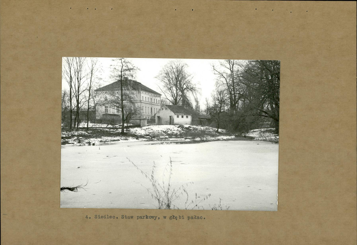 Ewidencja parkowa, skan nr 17