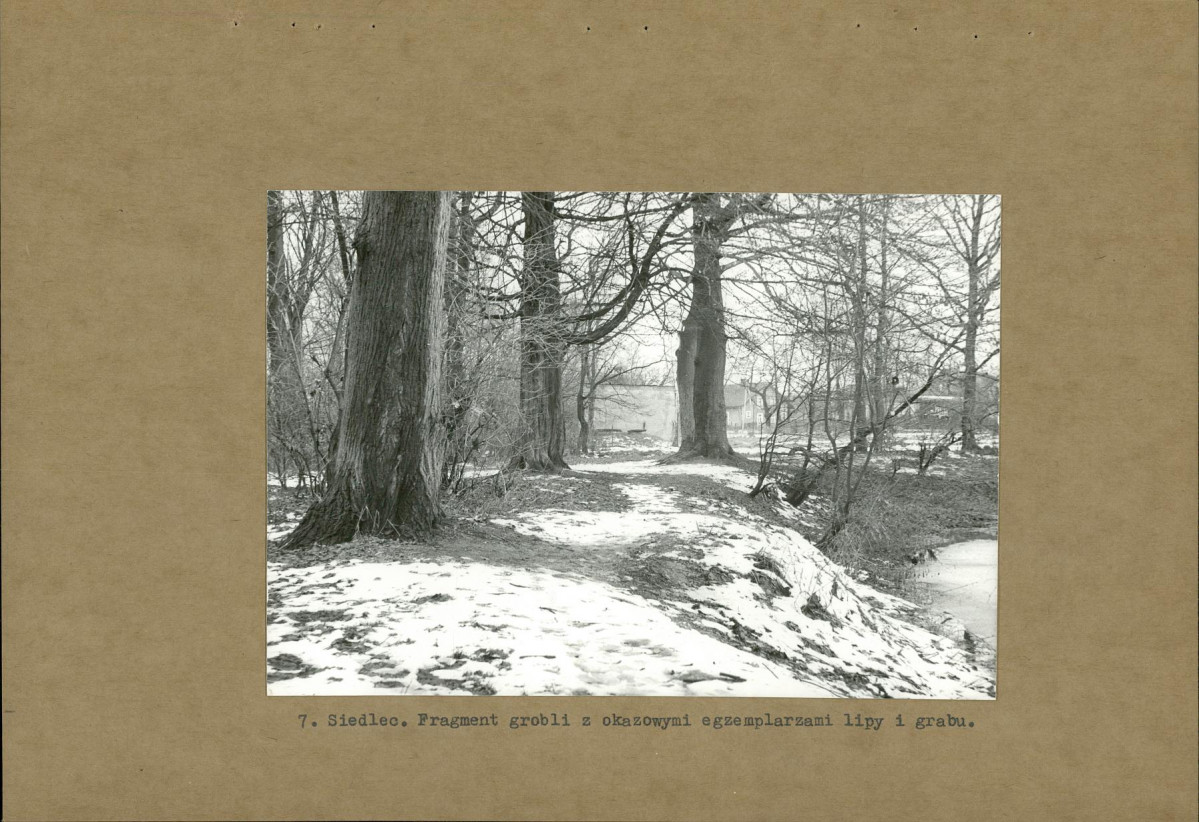 Ewidencja parkowa, skan nr 20