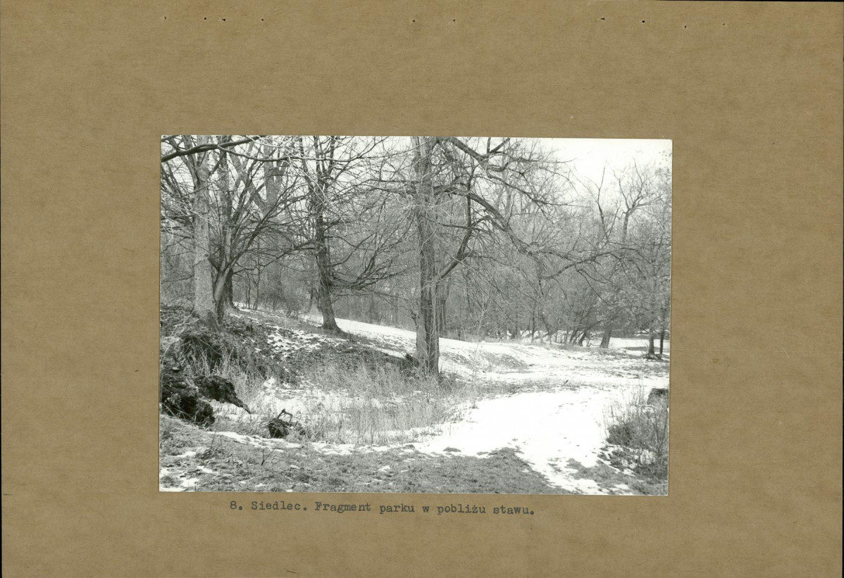 Ewidencja parkowa, skan nr 21