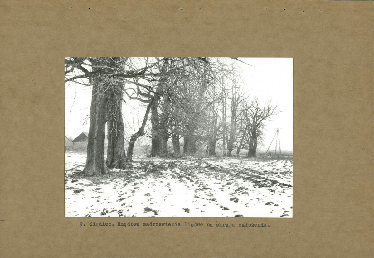 Ewidencja parkowa, skan nr 22