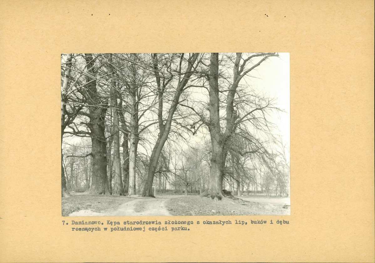 Ewidencja parkowa, skan nr 30