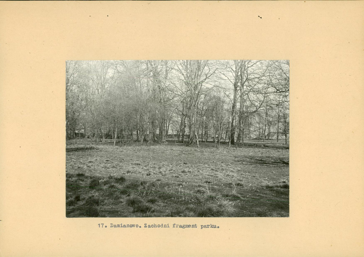 Ewidencja parkowa, skan nr 40