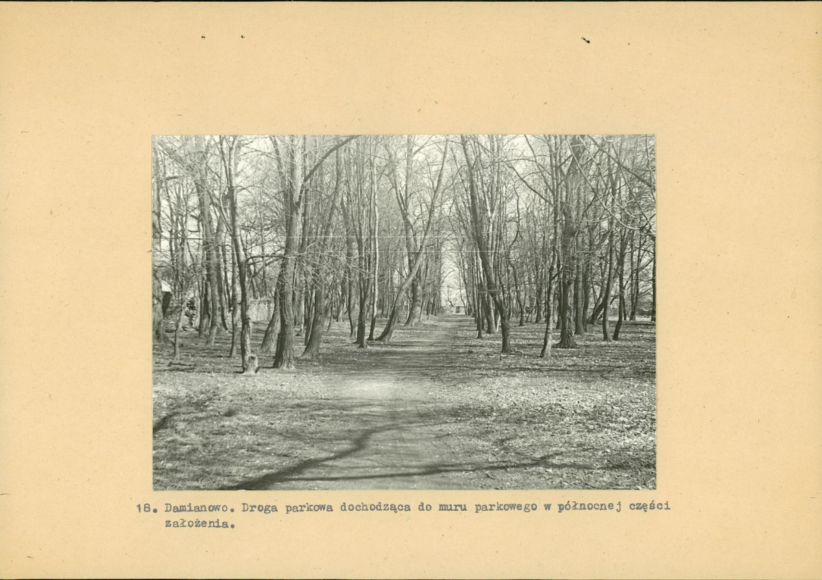 Ewidencja parkowa, skan nr 41