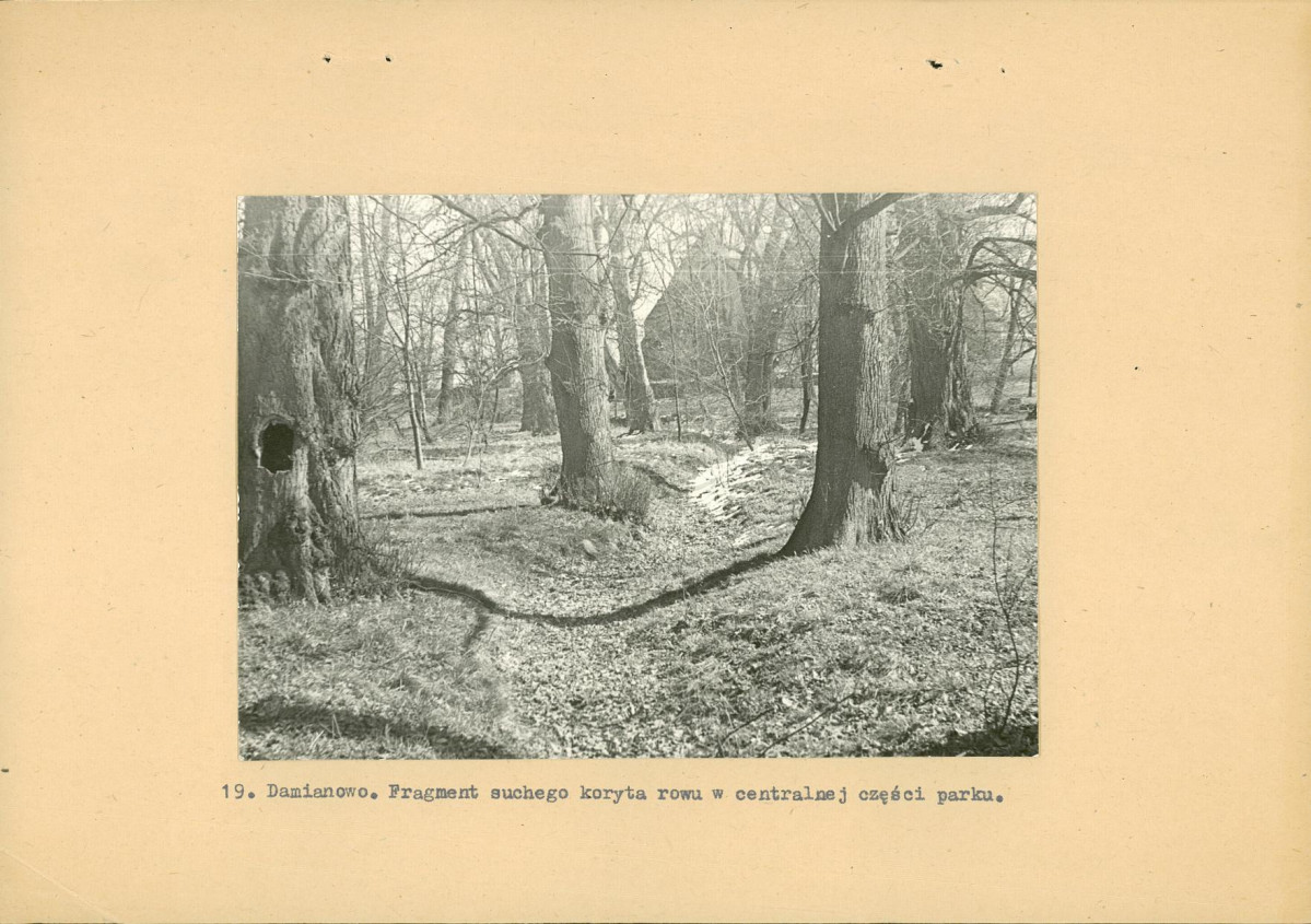Ewidencja parkowa, skan nr 42