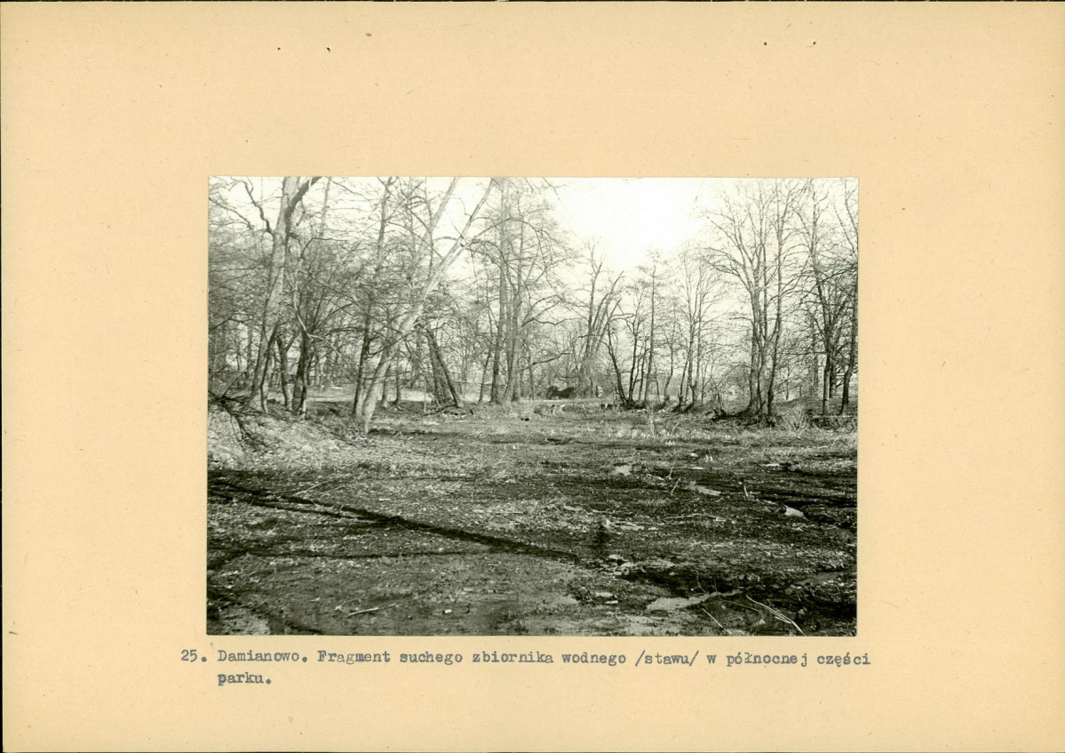 Ewidencja parkowa, skan nr 48