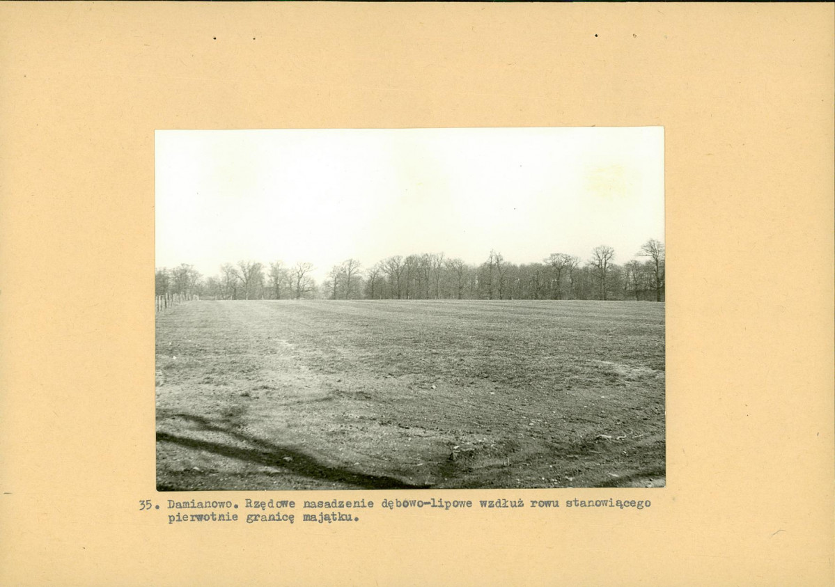 Ewidencja parkowa, skan nr 58