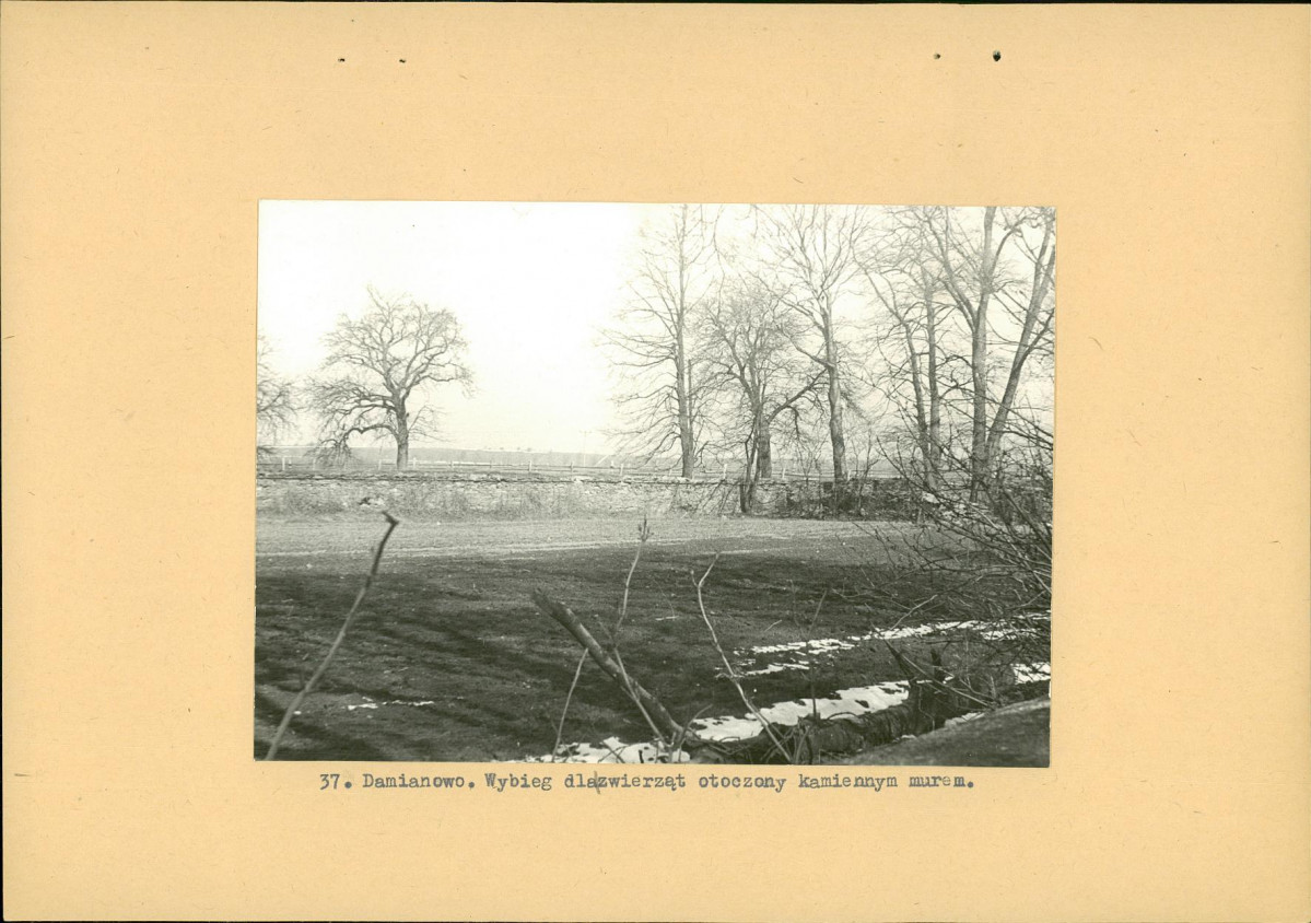 Ewidencja parkowa, skan nr 60