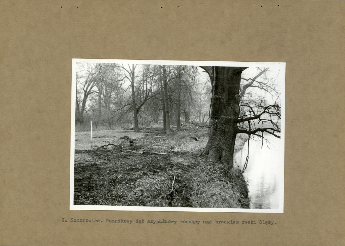 Ewidencja parkowa, skan nr 26