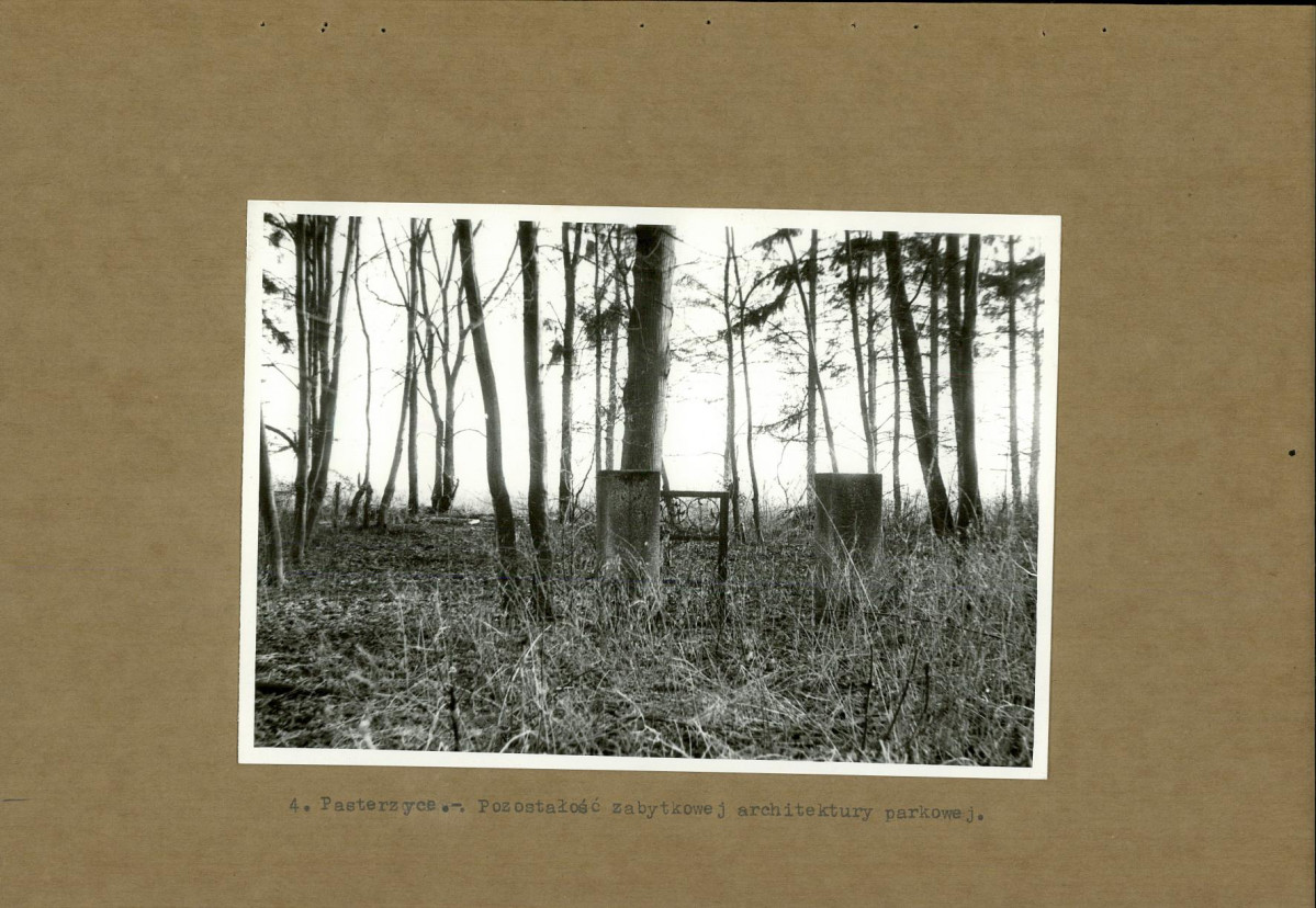 Ewidencja parkowa, skan nr 19