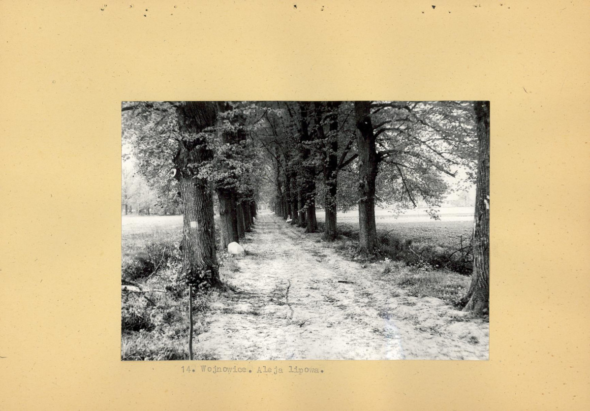 Ewidencja parkowa, skan nr 43