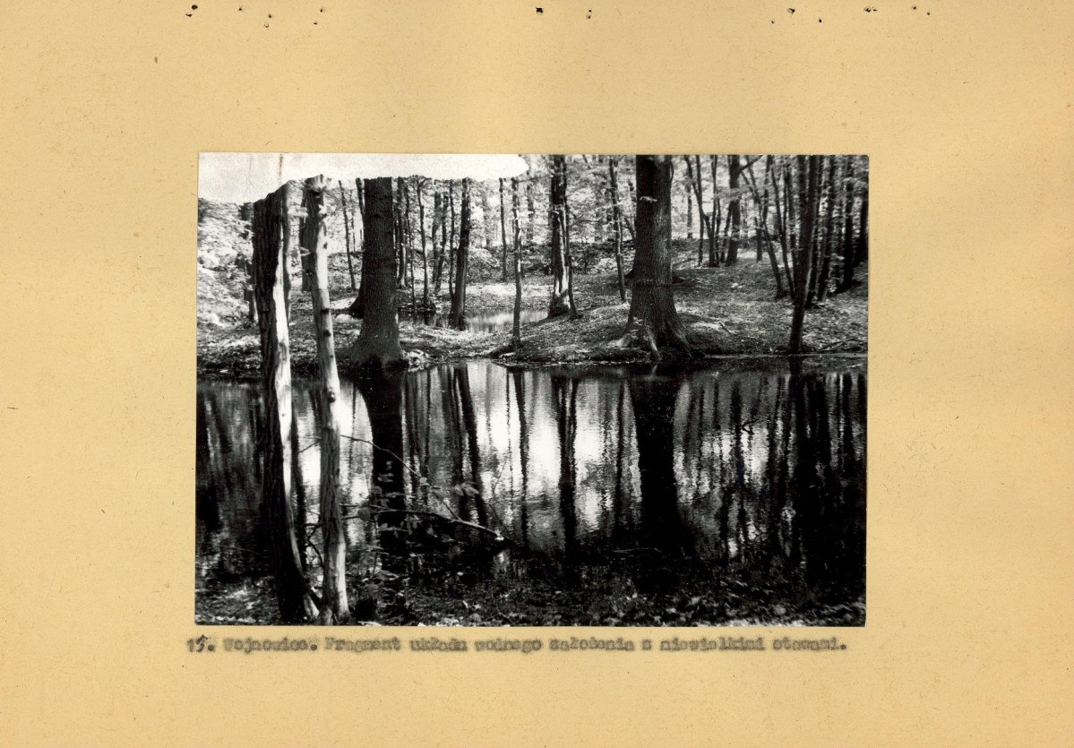 Ewidencja parkowa, skan nr 44