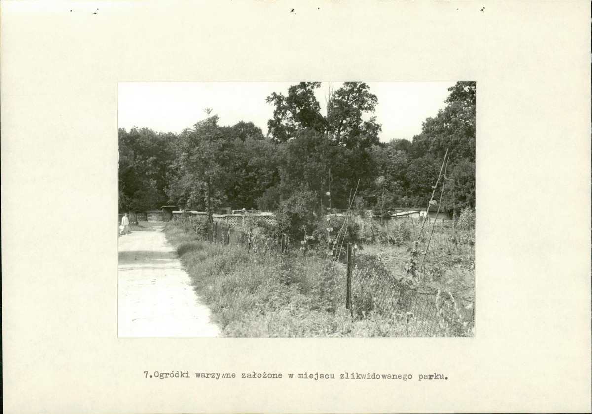 EP - Ewidencja parkowa, skan nr 36