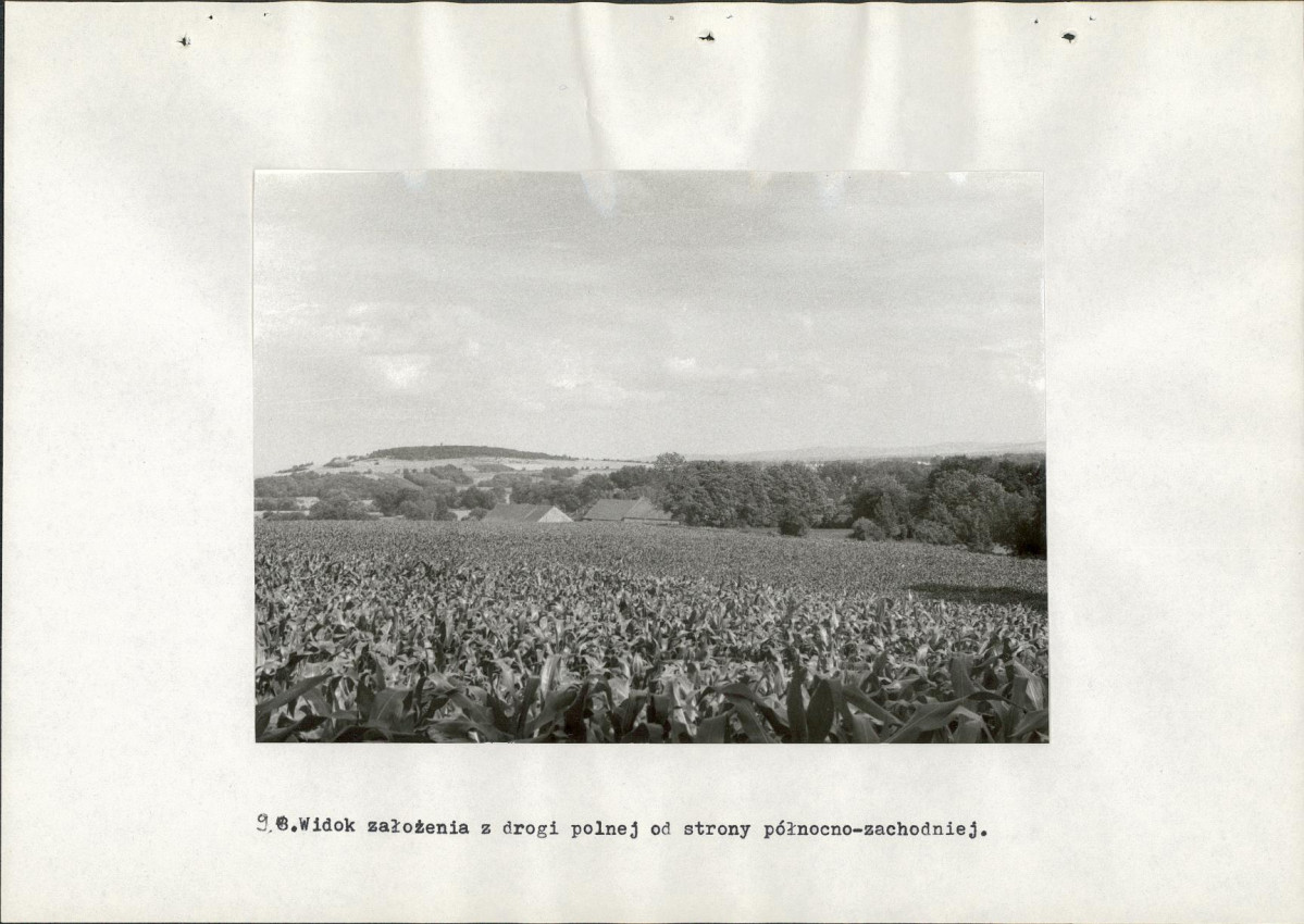 Ewidencja parkowa, skan nr 31