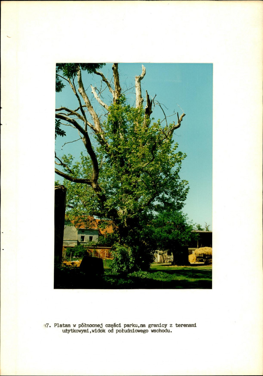 Ewidencja parkowa, skan nr 42