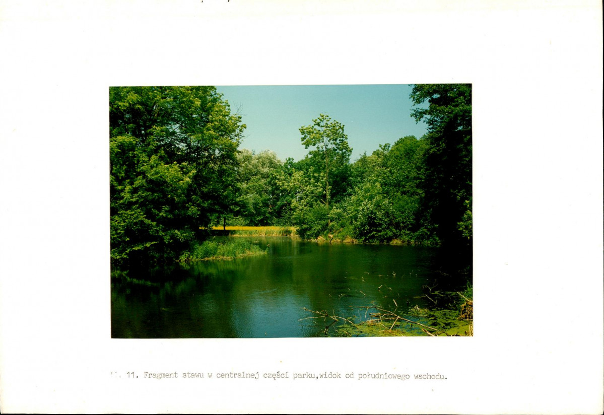 Ewidencja parkowa, skan nr 46