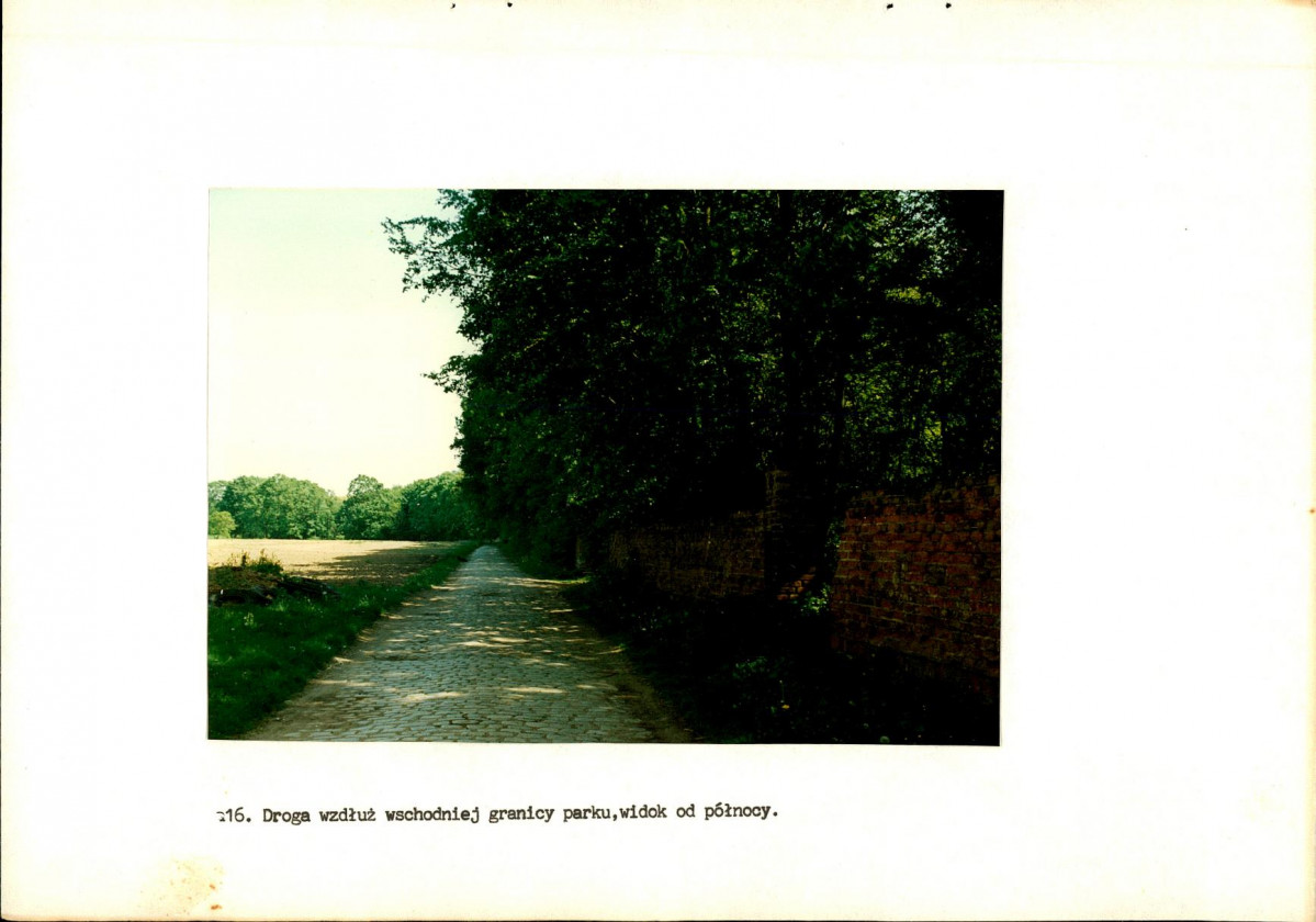 Ewidencja parkowa, skan nr 51