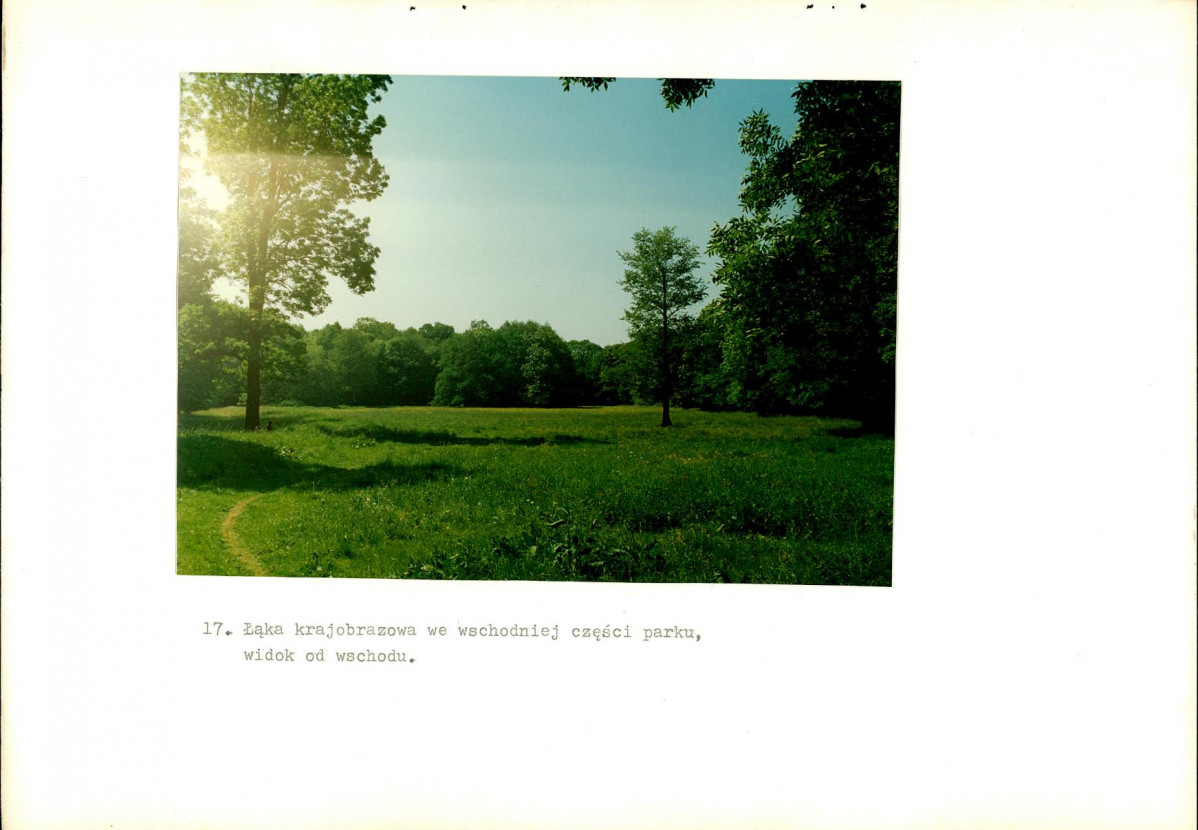 Ewidencja parkowa, skan nr 52