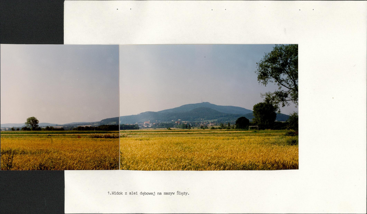 Ewidencja parkowa, skan nr 22