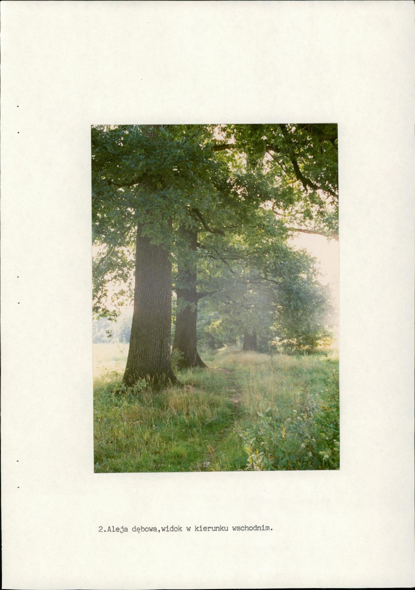 Ewidencja parkowa, skan nr 23