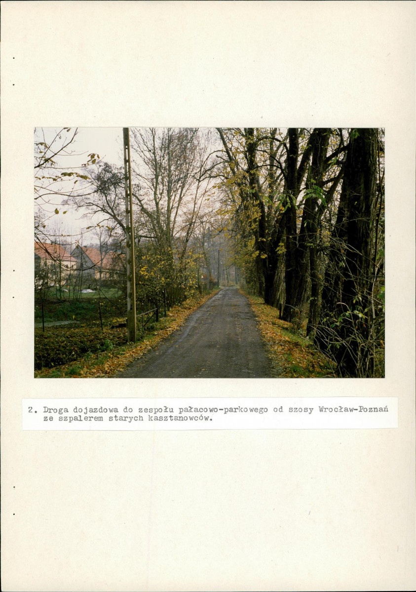 Ewidencja parkowa, skan nr 29