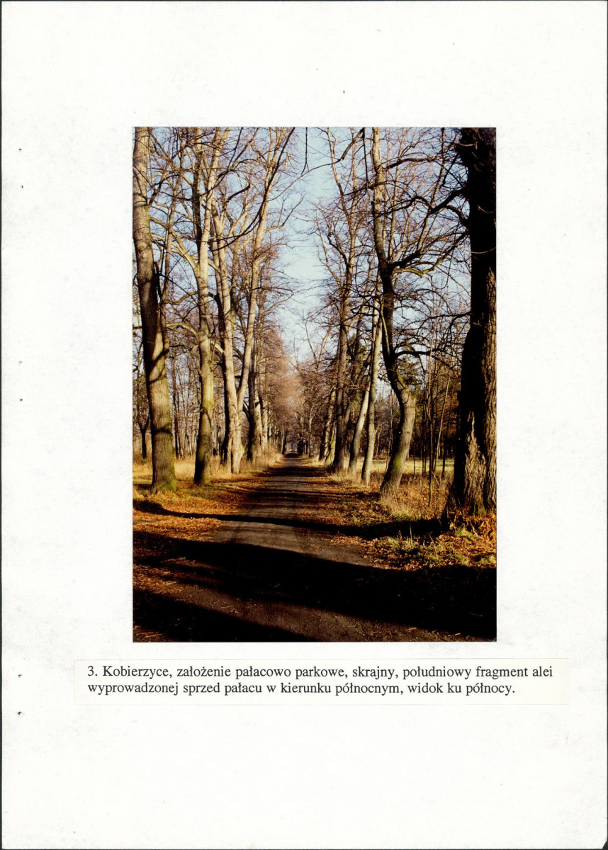 EP - Ewidencja parkowa, skan nr 41