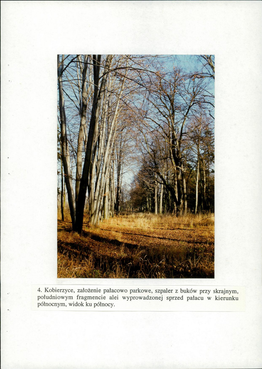 EP - Ewidencja parkowa, skan nr 42