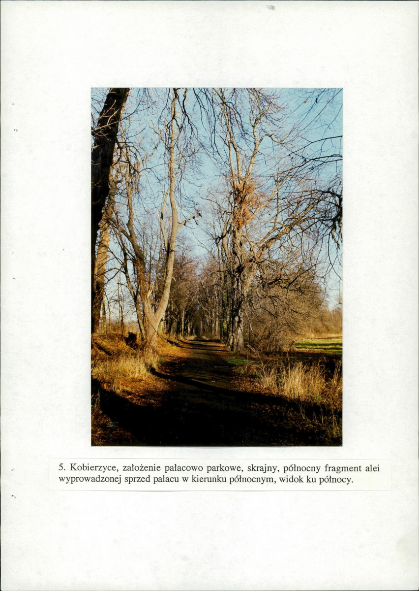 EP - Ewidencja parkowa, skan nr 43