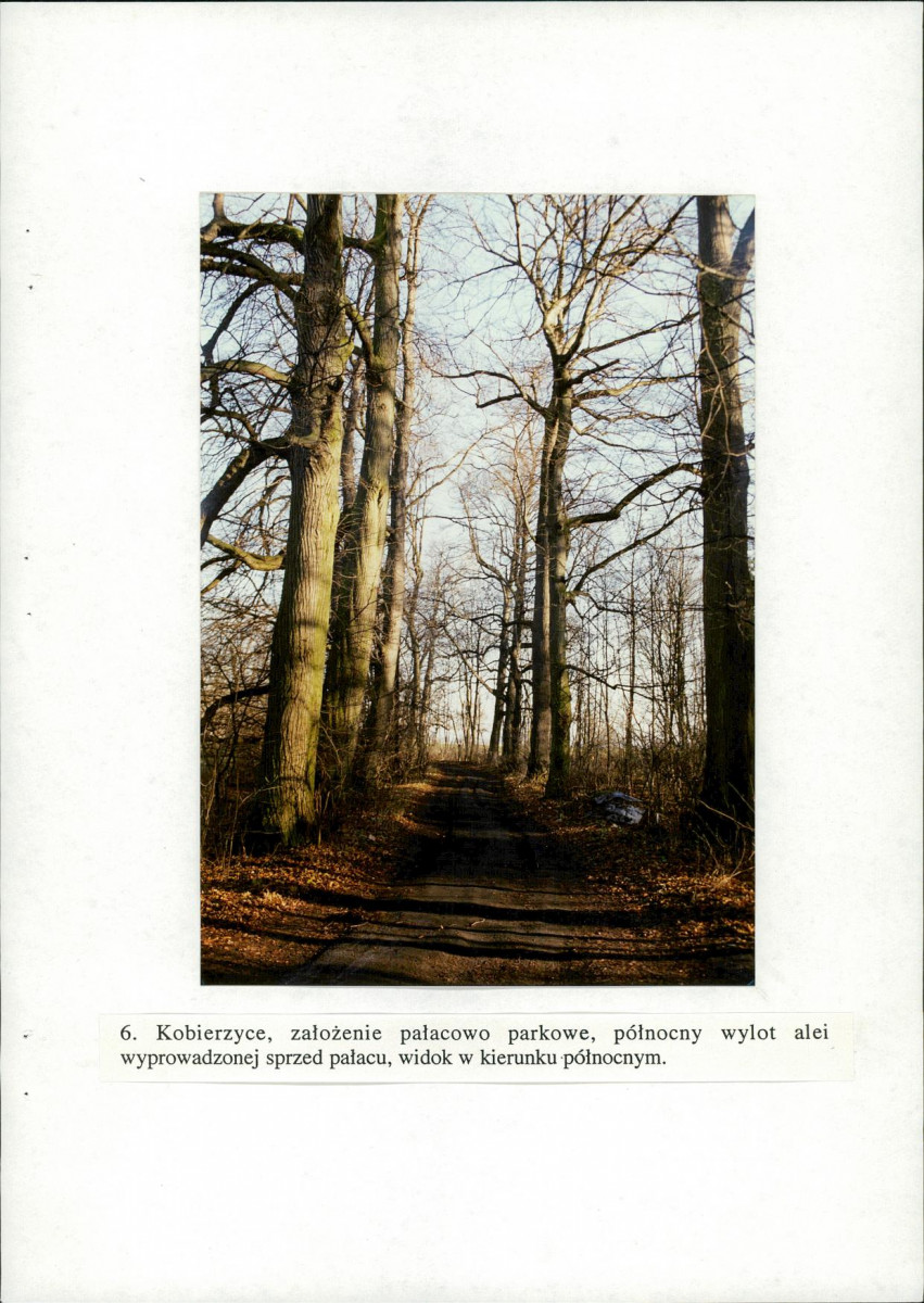 EP - Ewidencja parkowa, skan nr 44