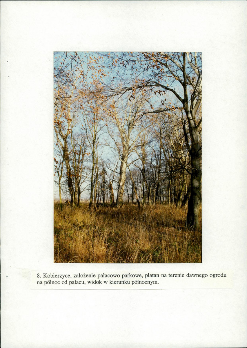 EP - Ewidencja parkowa, skan nr 46