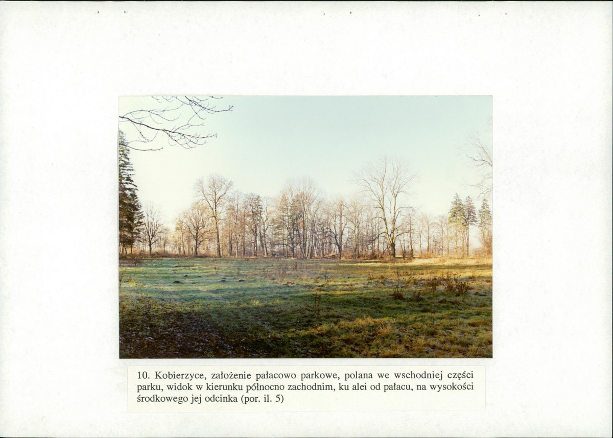 EP - Ewidencja parkowa, skan nr 48