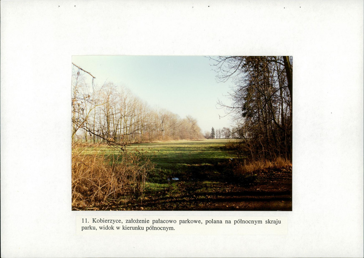 EP - Ewidencja parkowa, skan nr 49