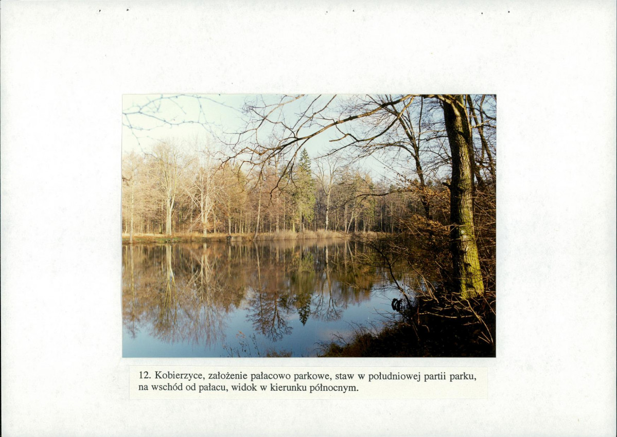 EP - Ewidencja parkowa, skan nr 50