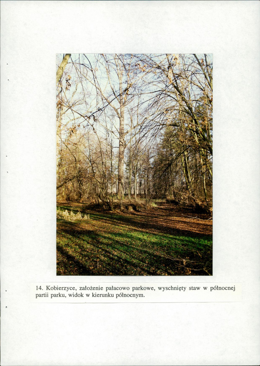 EP - Ewidencja parkowa, skan nr 52