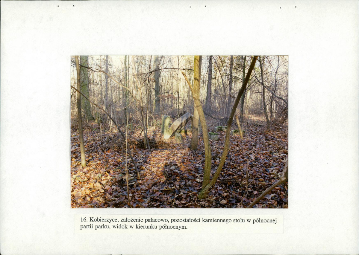 EP - Ewidencja parkowa, skan nr 54