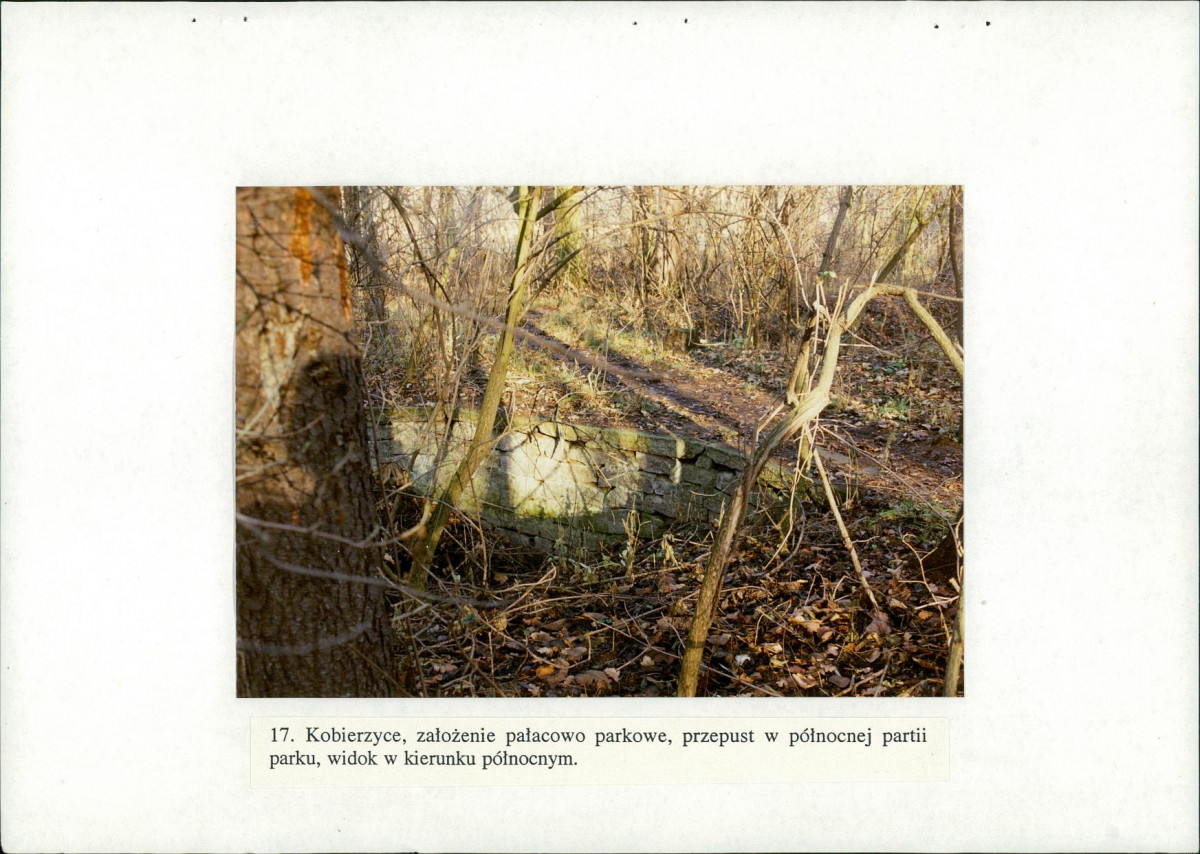 EP - Ewidencja parkowa, skan nr 55