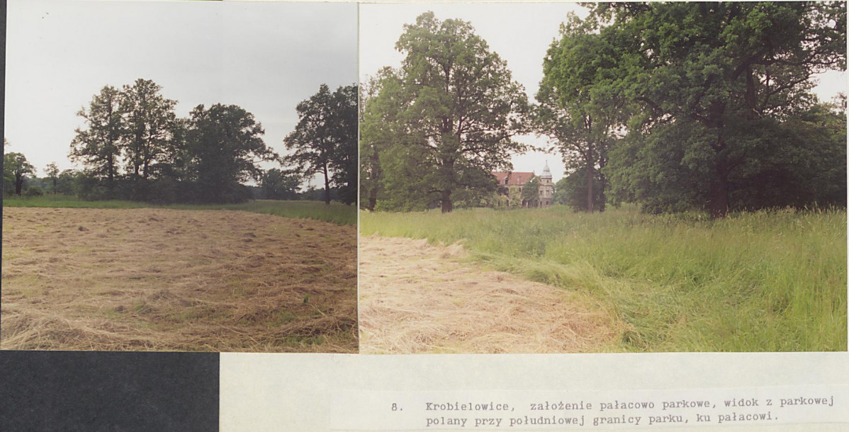 Ewidencja parkowa, skan nr 49