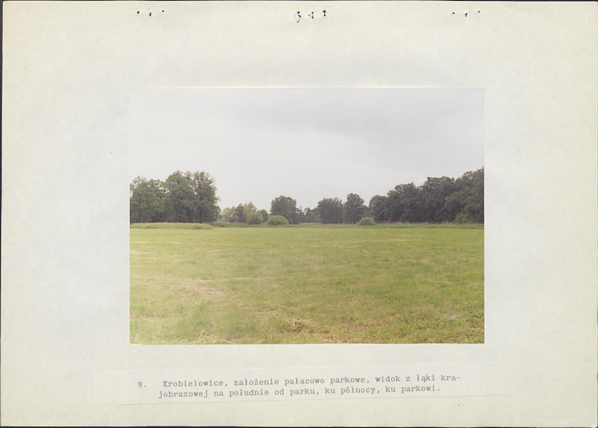 Ewidencja parkowa, skan nr 50