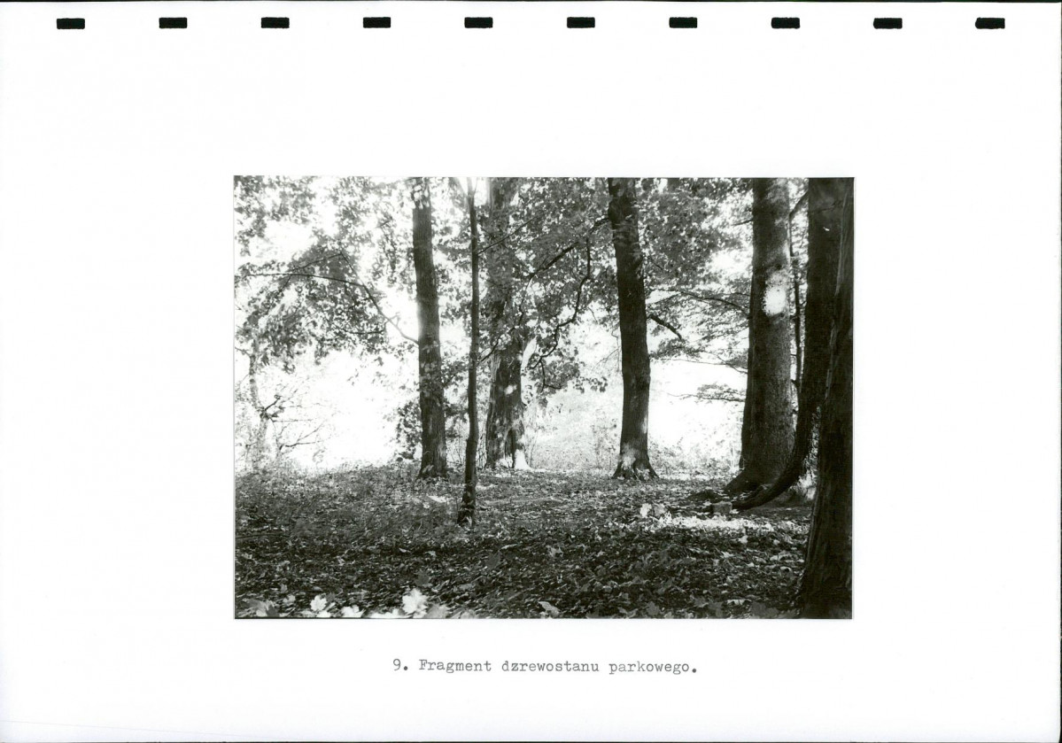 EP - Ewidencja parkowa, skan nr 36