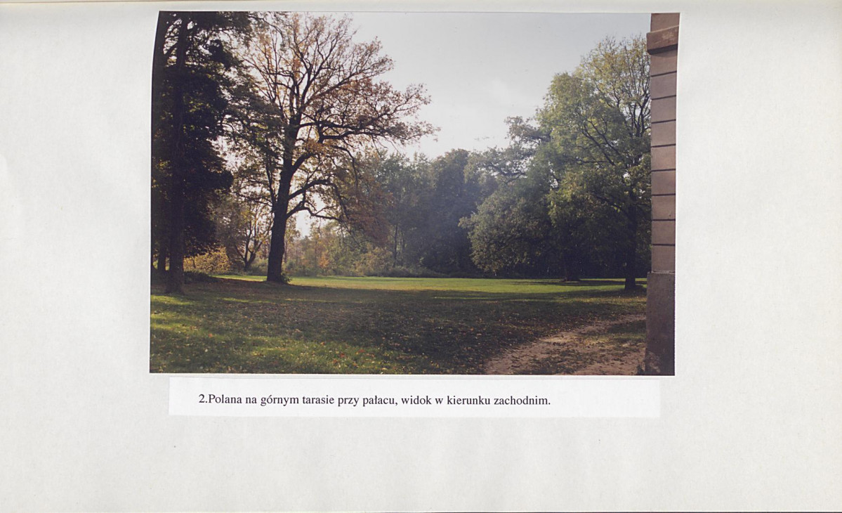 Ewidencja parkowa, skan nr 47